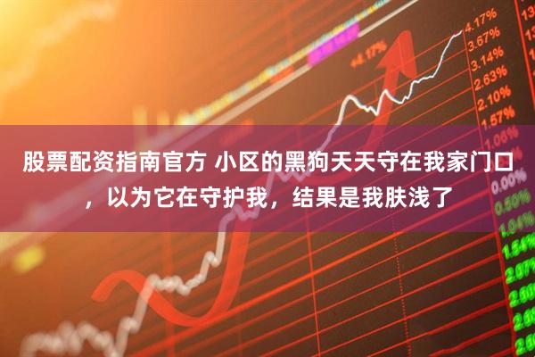 股票配资指南官方 小区的黑狗天天守在我家门口，以为它在守护我，结果是我肤浅了