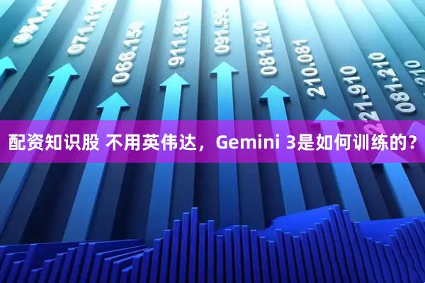 配资知识股 不用英伟达，Gemini 3是如何训练的？